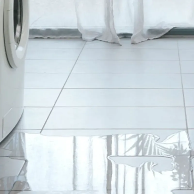 Appliance Leak Cleanup in Frankfort, IL