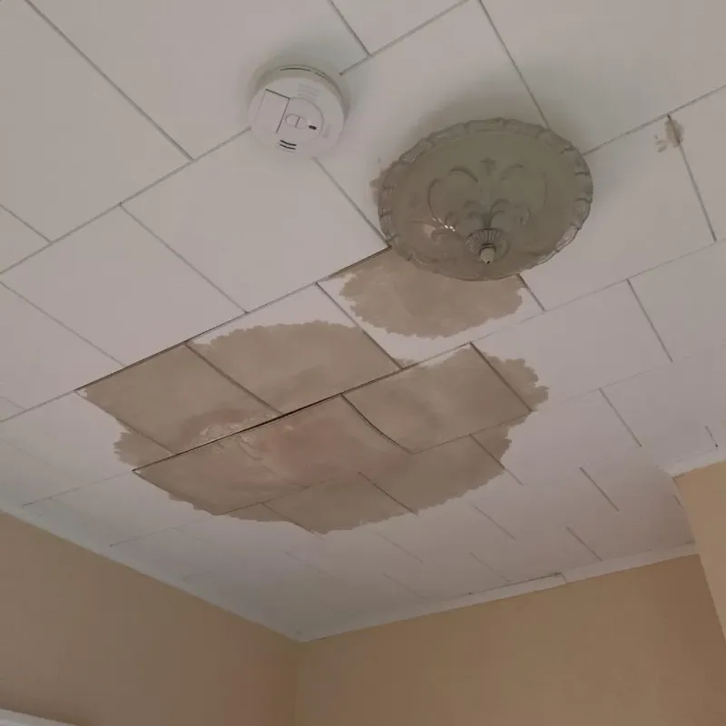 Ceiling Water Damage Repair in Frankfort, IL