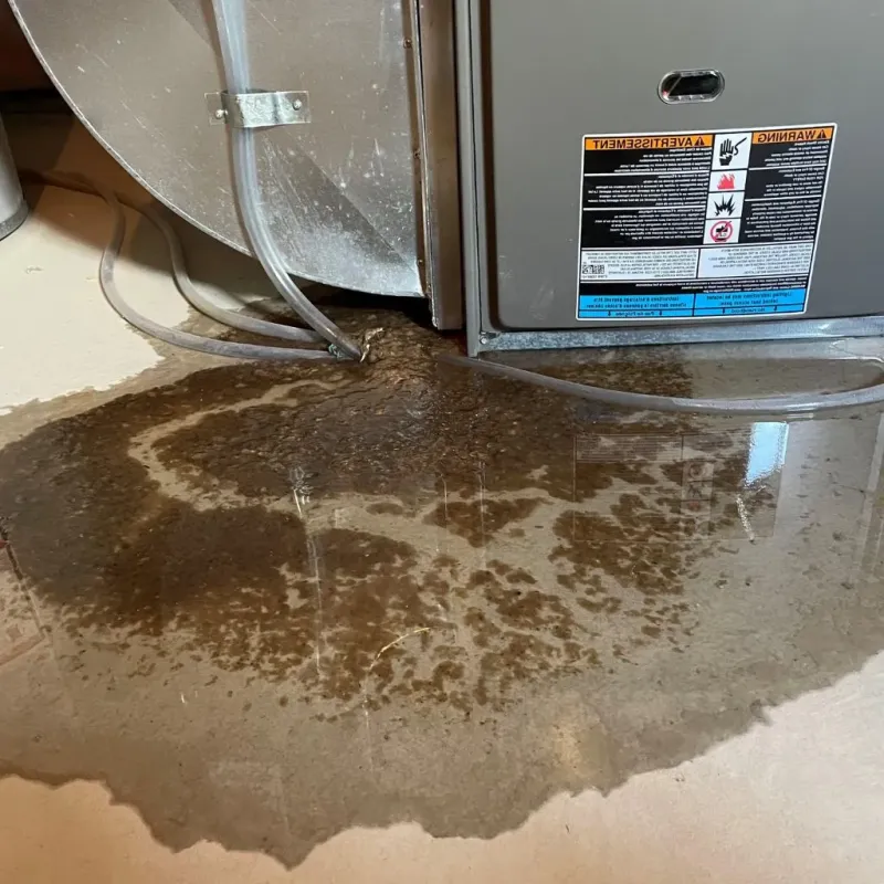 Pipe Burst and Leak Restoration in Frankfort, IL